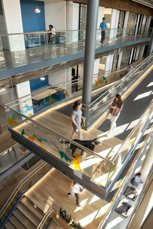 Banfield Pet Hospital Headquarters by Gensler: The Evolution of Workspaces - Sheet3