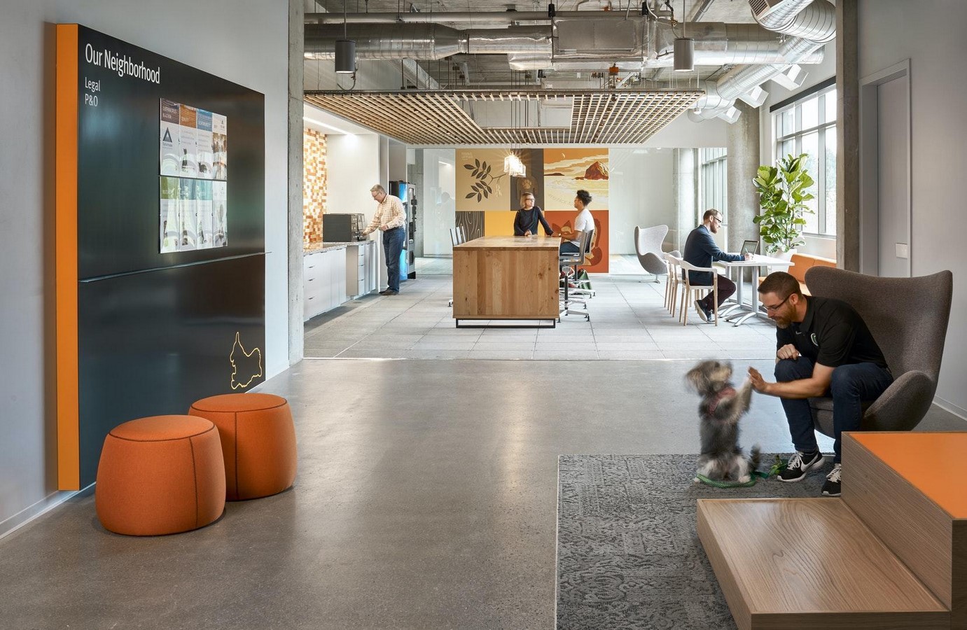 Banfield Pet Hospital Headquarters by Gensler: The Evolution of Workspaces - Sheet5
