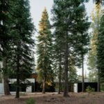Forest House by Faulkner Architects - Sheet2