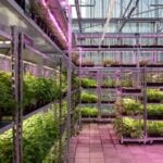 The Greenhouse by MOSS - Sheet3