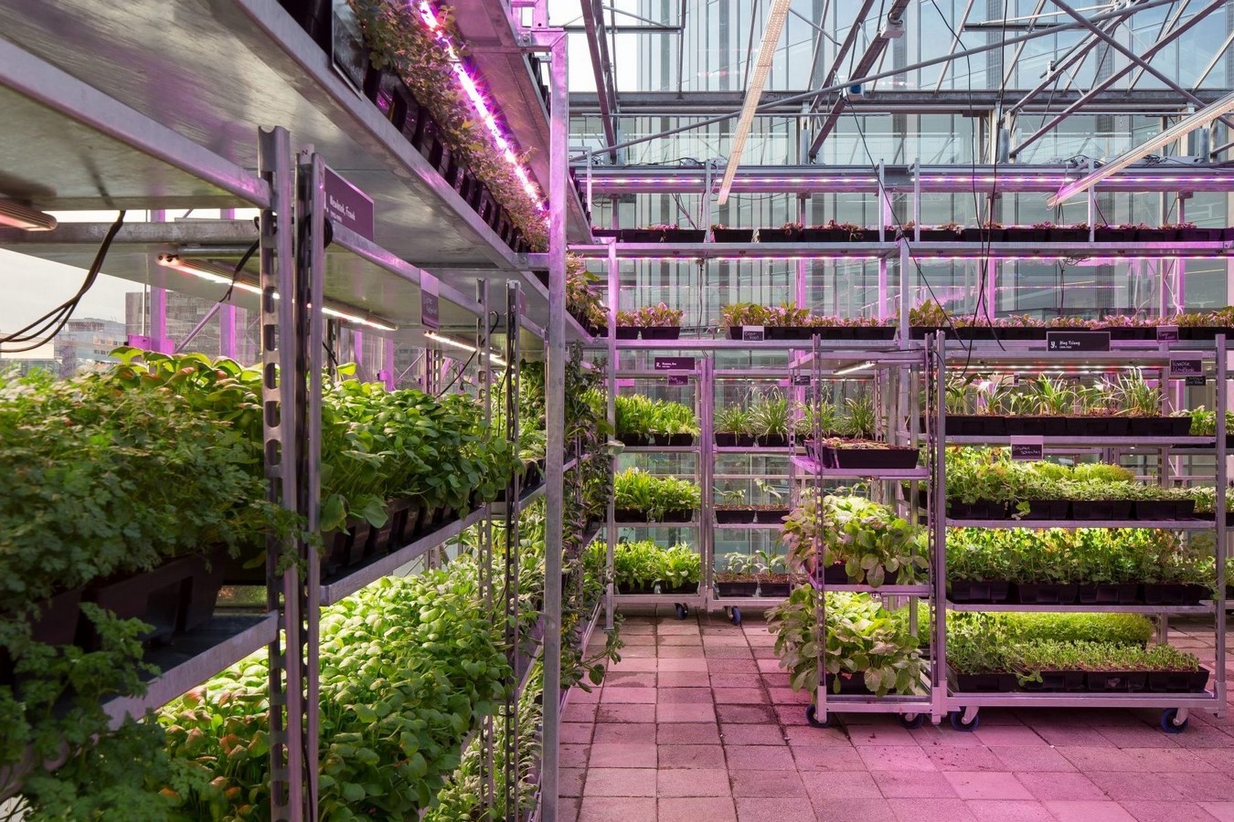 The Greenhouse by MOSS - Sheet3