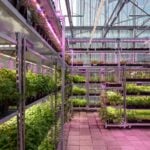 The Greenhouse by MOSS - Sheet6
