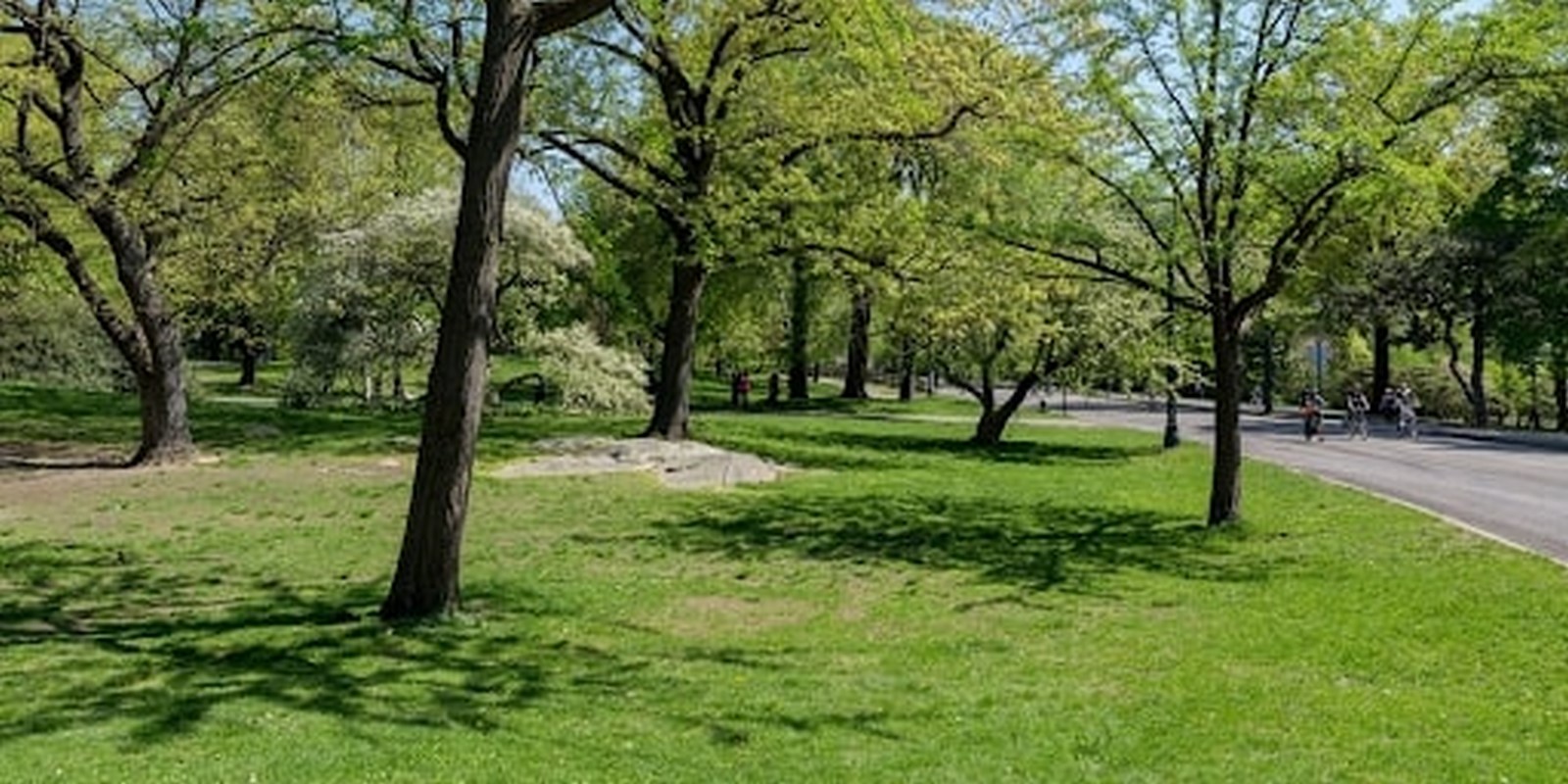 Seneca Village: Under the New York Central Park - Sheet5