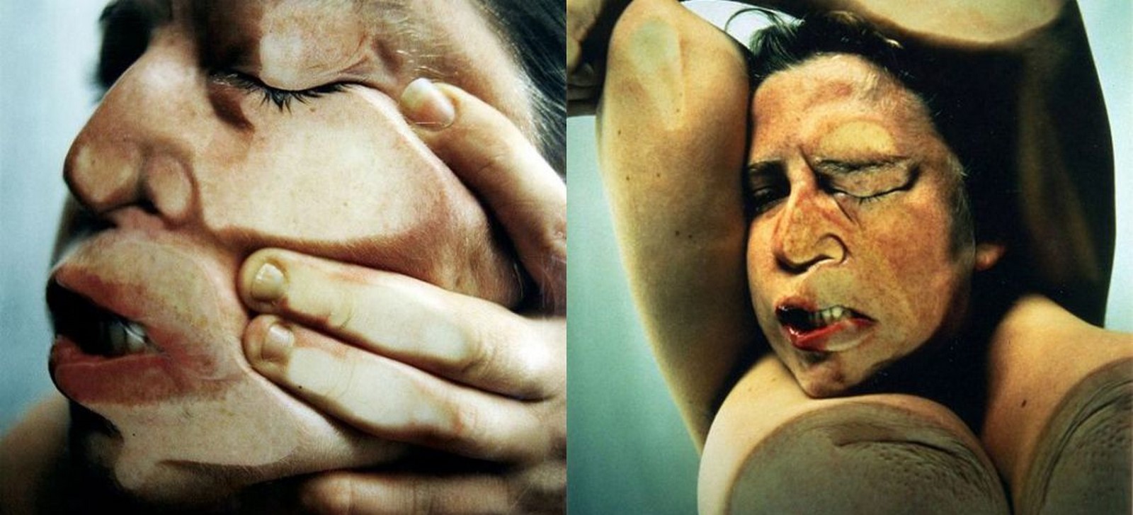 LIfe of an Artist: Jenny Saville - Sheet5