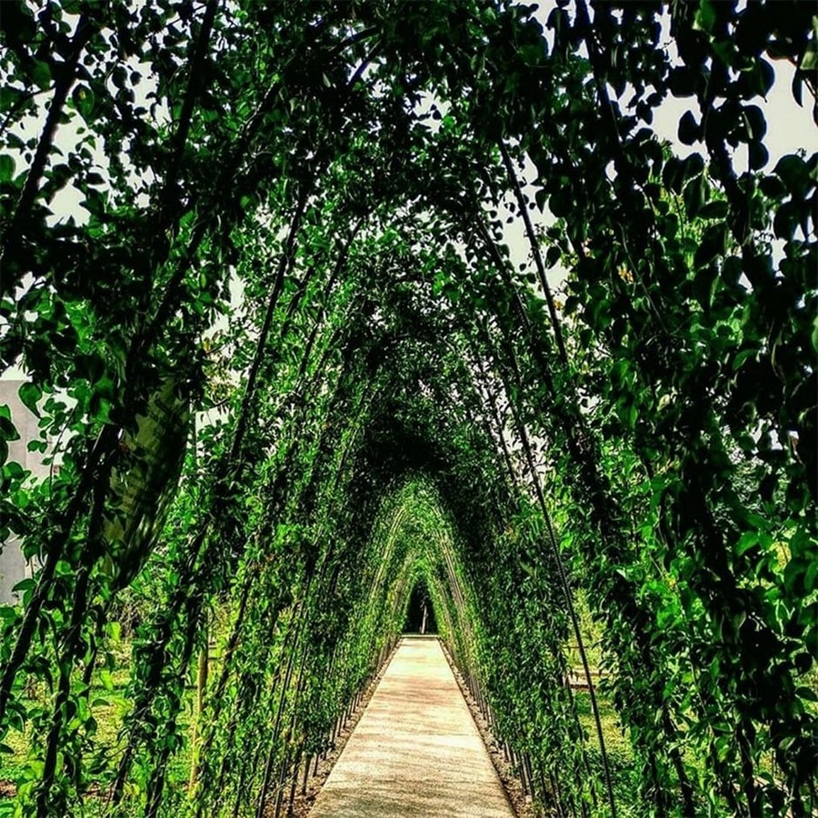 The entry view_©https://www.landscapeindia.net