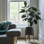 Bed-Stuy Brownstone by Studio Nato - Sheet2