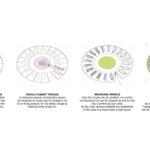 Sunflower Village By Valentino Gareri Atelier - Sheet3