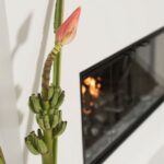 California Minimalism By Sarah Barnard Design - Sheet13