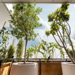 The Green Arch By Vincent Callebaut Architectures - Sheet13