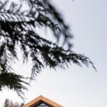 The Fossilized Vineyard By noa network of architecture - Sheet1
