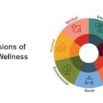 Exploring holistic wellness through design - Sheet3