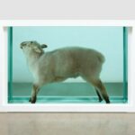 Damien Hirst- 10 Iconic Artworks - Sheet2