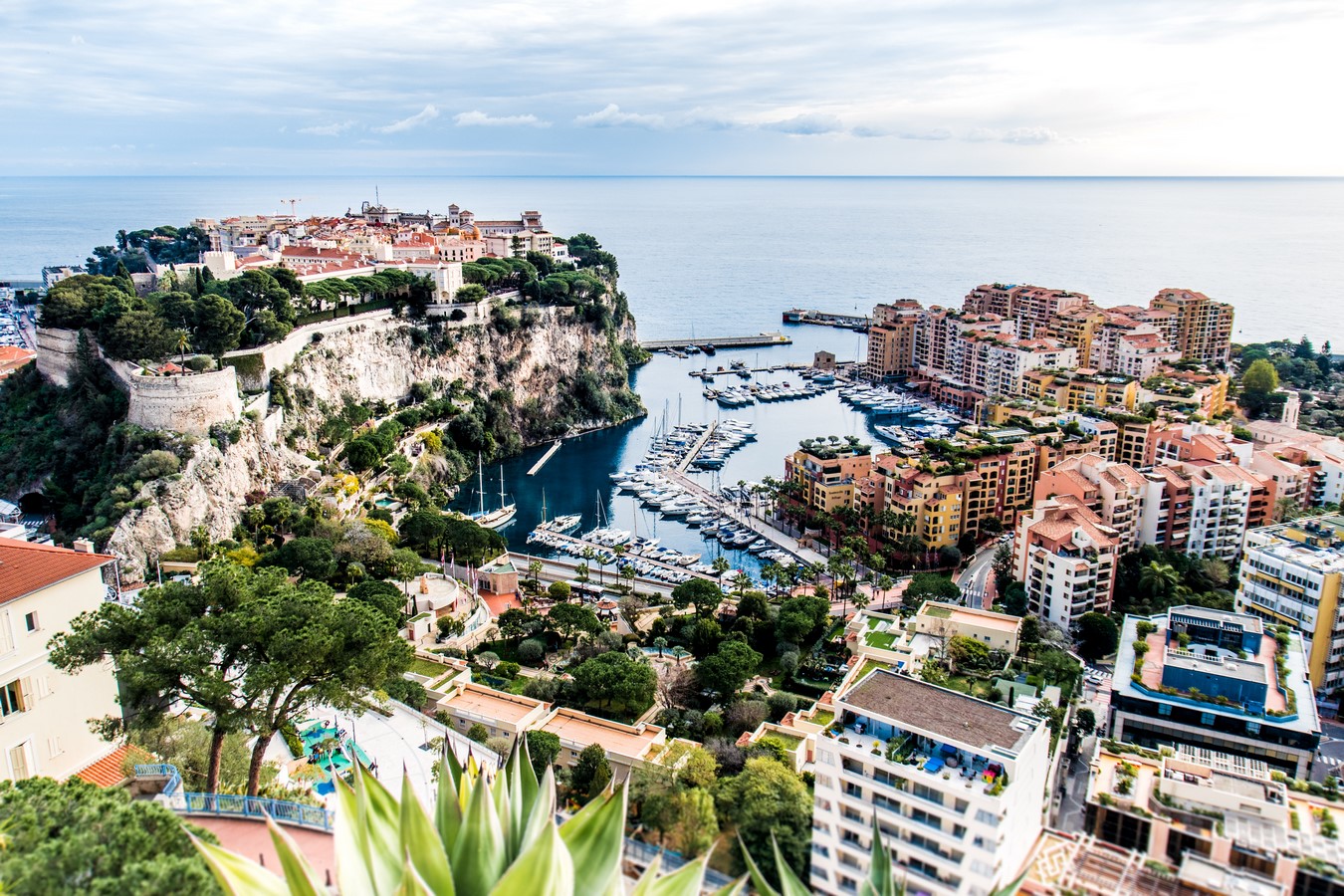 Exotic Garden of Monaco, Monaco_©Julien Lanoy on Unsplash