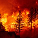 Resilient Design: Forest Fire and houses - Sheet1