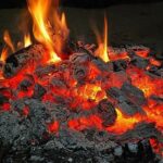 Resilient Design: Forest Fire and houses - Sheet2