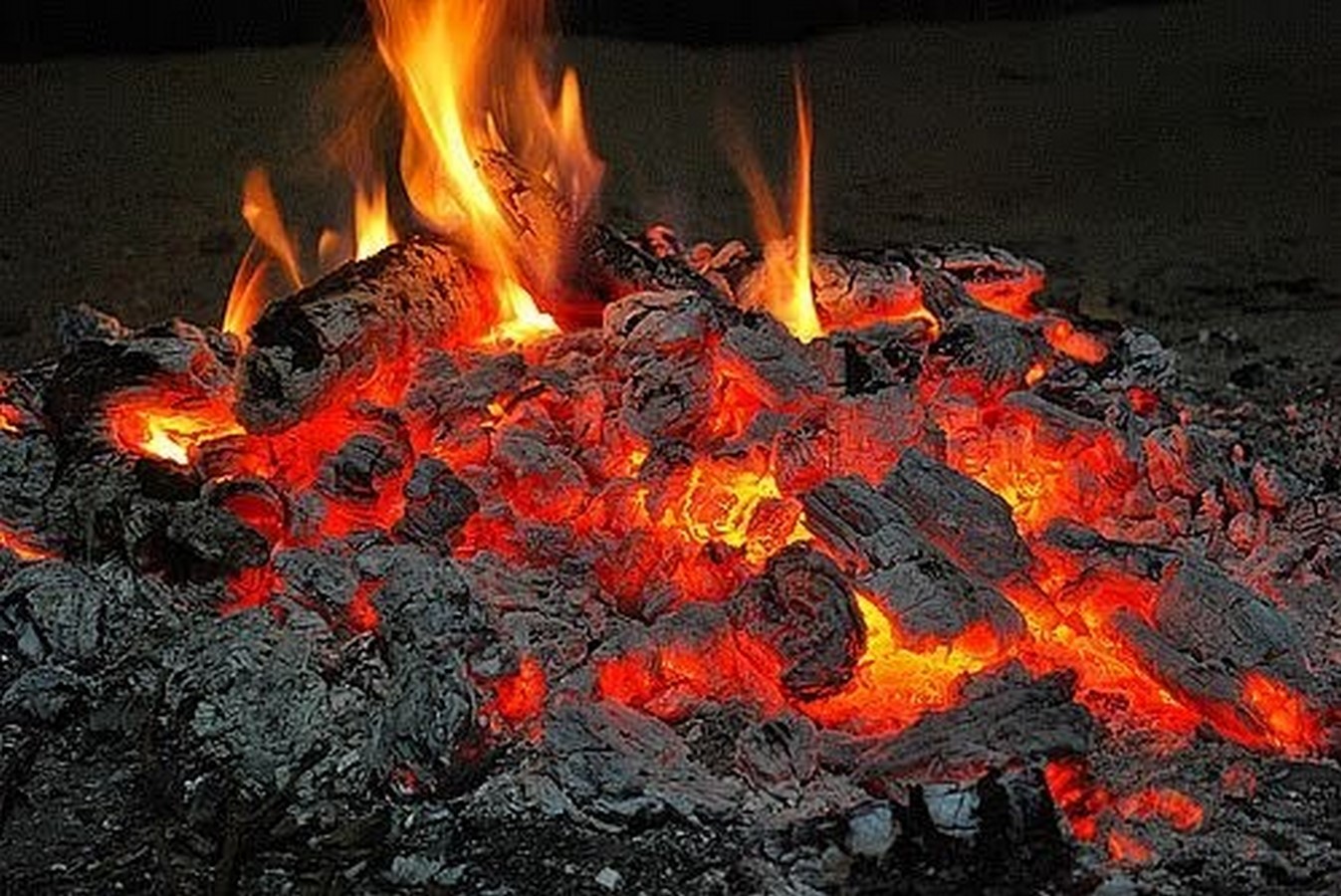 Resilient Design: Forest Fire and houses - Sheet2
