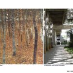 10 Ted talks about psychology in architecture - Sheet6
