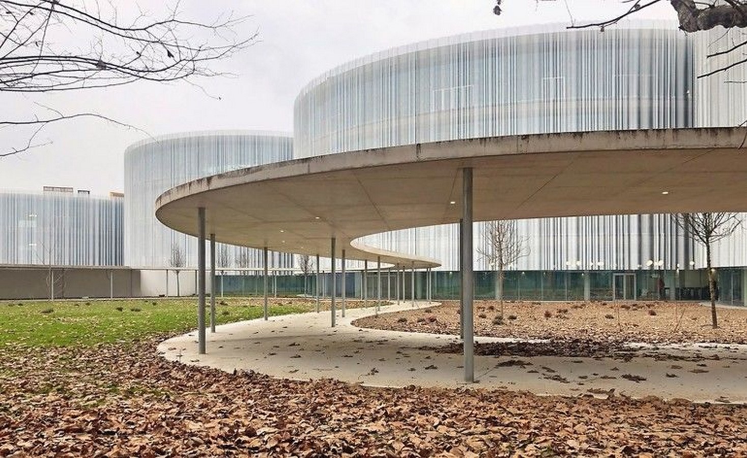 Milanese palazzi informs about the wrap green courtyards at Bocconi University, designed by SANAA - Sheet4