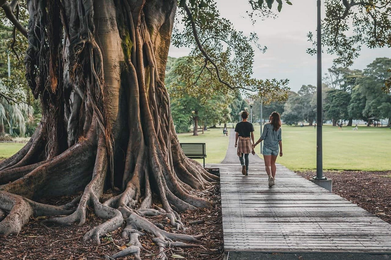 Environmental Psychology and its importance - Sheet9