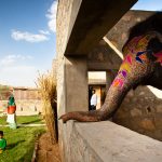 10 Architectural projects focusing on Animals - Sheet1