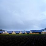 10 Architectural projects focusing on Animals - Sheet11