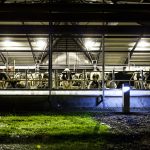 10 Architectural projects focusing on Animals - Sheet12