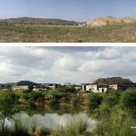 10 Architectural projects focusing on Animals - Sheet2