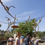 10 Architectural projects focusing on Animals - Sheet5
