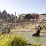 10 Architectural projects focusing on Animals - Sheet9