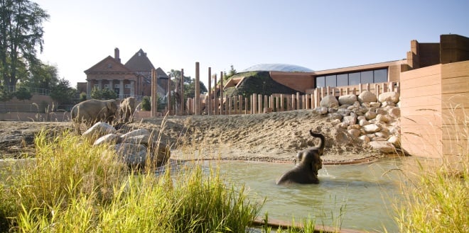 10 Architectural projects focusing on Animals - Sheet9