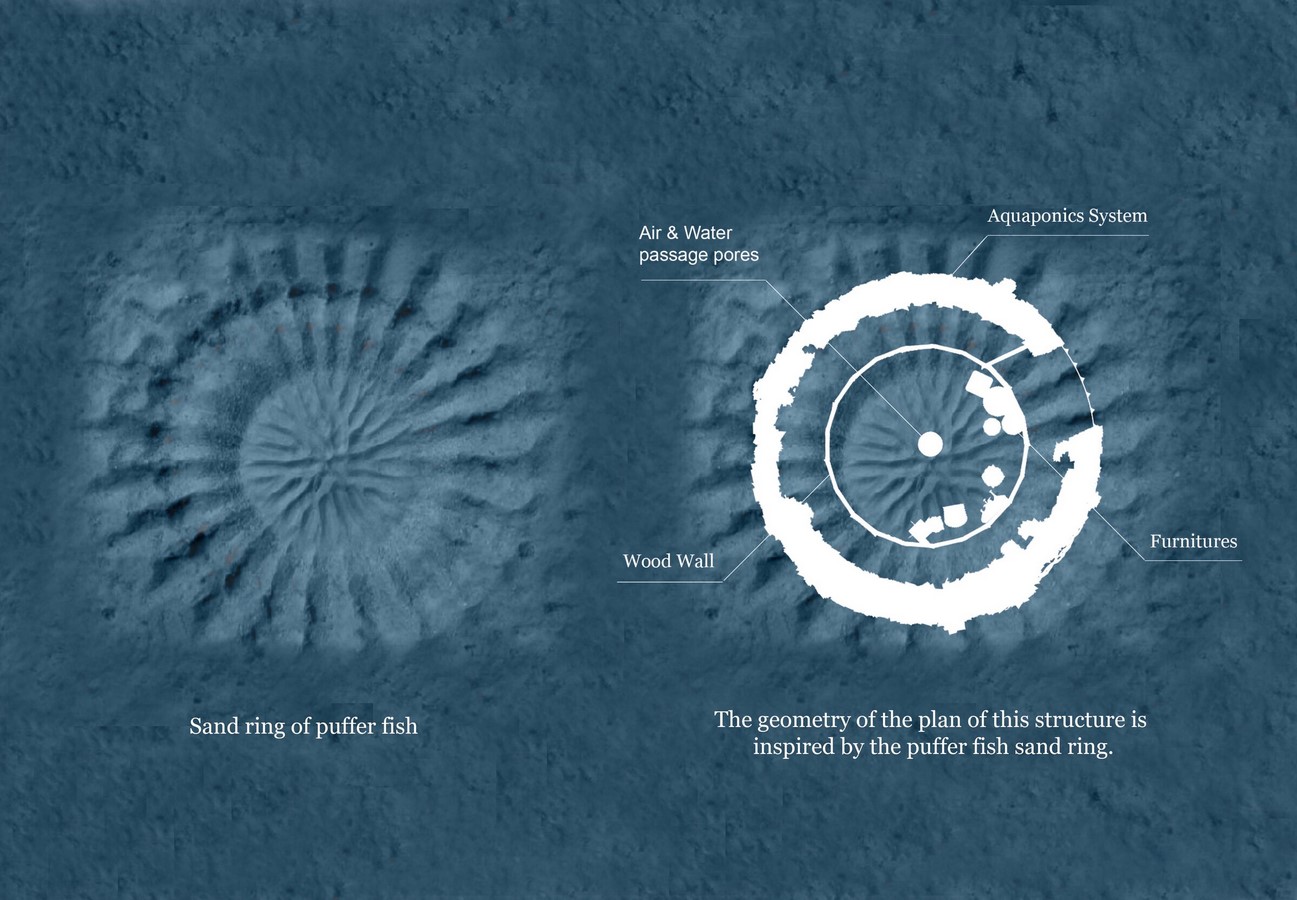  A system of smart houses that adapts to rising sea levels proposed by Sajjad Navidi - Sheet6