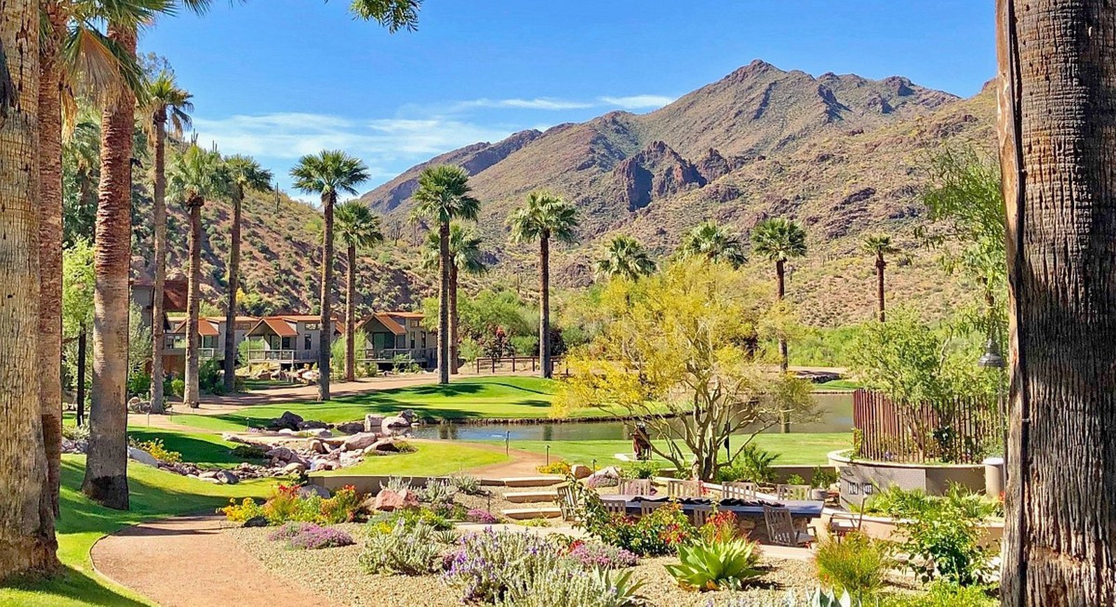 15 Beautiful examples of Wellness Designs around the World - Sheet21
