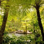 15 Beautiful examples of Wellness Designs around the World - Sheet22