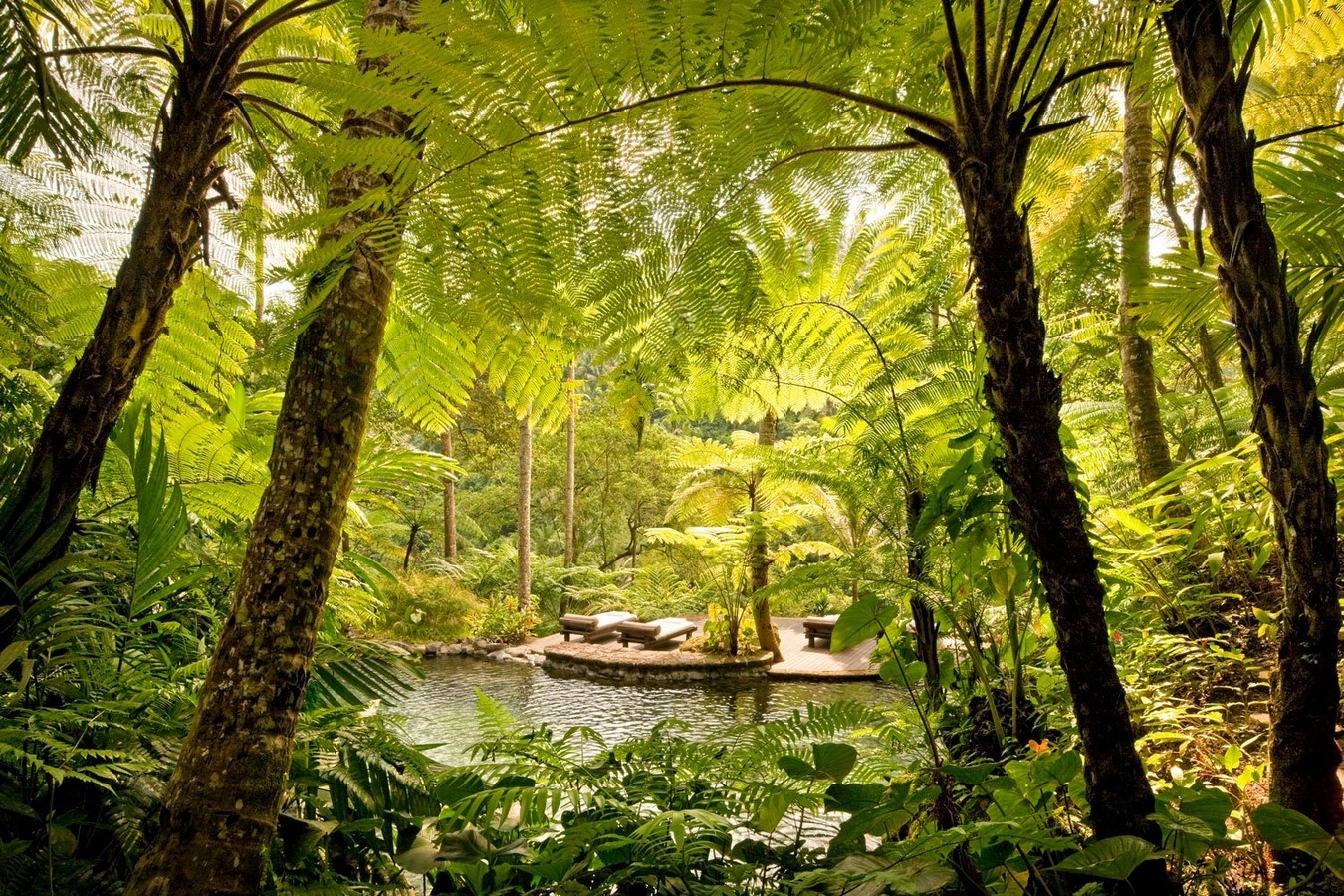 15 Beautiful examples of Wellness Designs around the World - Sheet22