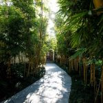 15 Beautiful examples of Wellness Designs around the World - Sheet5