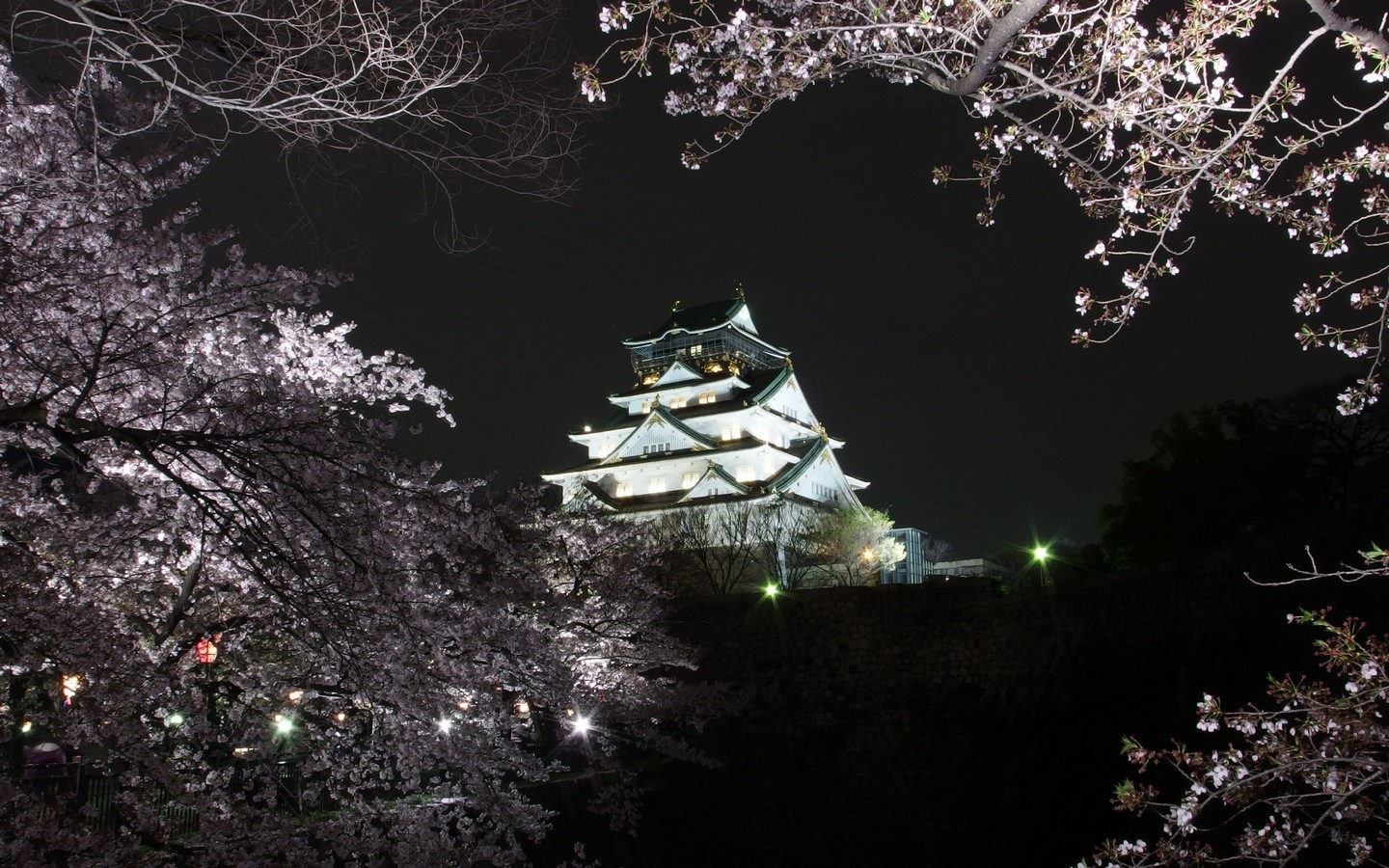  Osaka Castle, Japan: Rising from the ground - Sheet1