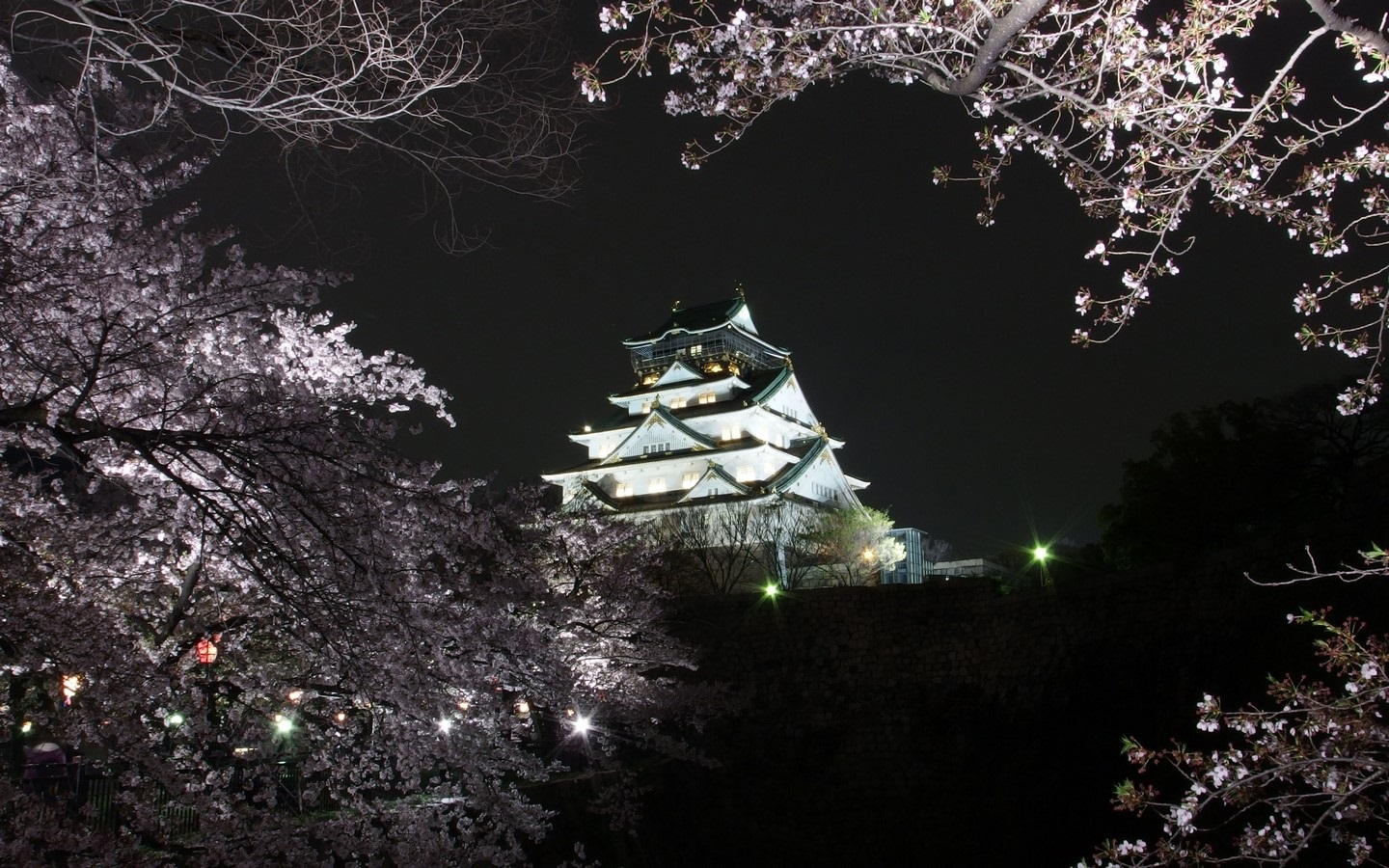 Osaka Castle, Japan: Rising from the ground - Sheet1