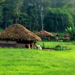 Sustainability and Indian Villages - Sheet1