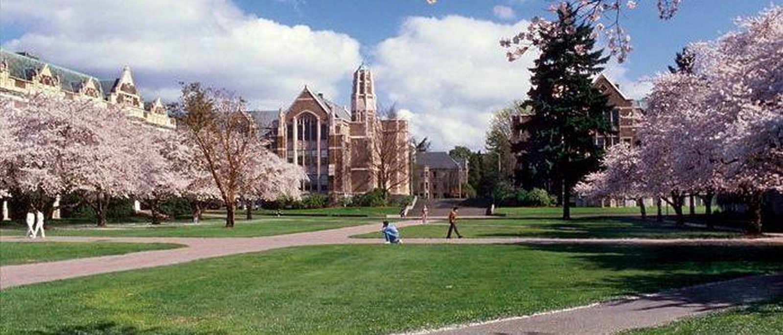 10 colleges for achieving a Master's degree in Vernacular Architecture - Sheet8