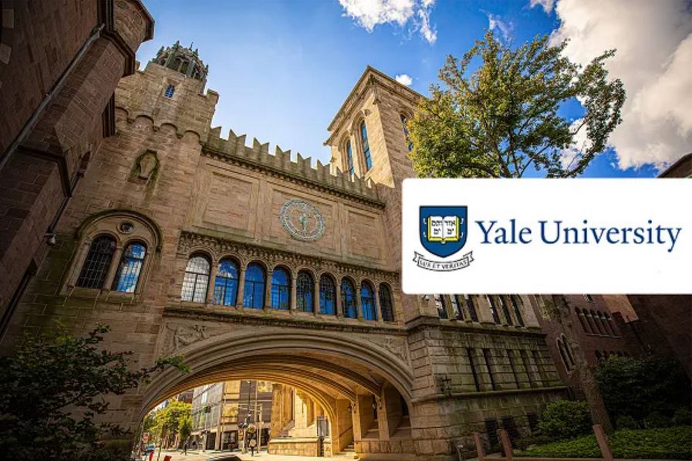 10 colleges for achieving a Master's degree in Vernacular Architecture - Sheet9