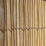 Botanical Garden By Matti Rosenshine Architects - Sheet2