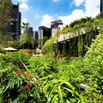 Design Orchard By WOHA - Sheet14