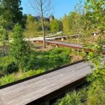 The Georgia Institute of Technology By Nelson Byrd Woltz Landscape Architects - Sheet14