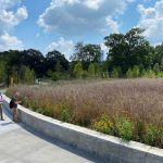 The Georgia Institute of Technology By Nelson Byrd Woltz Landscape Architects - Sheet18