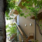 Company name : Love Architecture Inc. Address : 2-20-14 Miyasaka Setagaya Tokyo,Japan Phone : +81-3-5844-6830 Fax  : +81-3-5844-6831 E-mail : asari@lovearchitecture.co.jp URL : www.lovearchitecture.co.jp  Credit InformationArchitecture : Yukio AsariPhotography : Masao Nishikawa   Project OutlineLocation : Tokyo, Japan  Date of Completion : March 2018 Principal Use : Rental apartment Structure : Wooden construction Site Area : 558.67m2 Total Floor Area :706.23m2 (255.76m2/1F, 227.99m2/2F, 222.48m2/3F)  Structural Engineer : Nakamura Tsuguho Mechanical Engineer : Hiroyuki Sakamaki Material Information Exterior Finish (Wall) : Resin based plastering Exterior Finish (Floor) : Natural stone/Decomposed granite soil Floor : Oak flooring, Urethane clear paint/ Tile finish Wall : Cross Ceiling : Cross - Sheet2