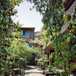 Company name : Love Architecture Inc. Address : 2-20-14 Miyasaka Setagaya Tokyo,Japan Phone : +81-3-5844-6830 Fax  : +81-3-5844-6831 E-mail : asari@lovearchitecture.co.jp URL : www.lovearchitecture.co.jp  Credit InformationArchitecture : Yukio AsariPhotography : Masao Nishikawa   Project OutlineLocation : Tokyo, Japan  Date of Completion : March 2018 Principal Use : Rental apartment Structure : Wooden construction Site Area : 558.67m2 Total Floor Area :706.23m2 (255.76m2/1F, 227.99m2/2F, 222.48m2/3F)  Structural Engineer : Nakamura Tsuguho Mechanical Engineer : Hiroyuki Sakamaki Material Information Exterior Finish (Wall) : Resin based plastering Exterior Finish (Floor) : Natural stone/Decomposed granite soil Floor : Oak flooring, Urethane clear paint/ Tile finish Wall : Cross Ceiling : Cross - Sheet3