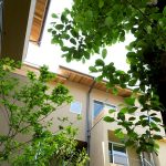 Company name : Love Architecture Inc. Address : 2-20-14 Miyasaka Setagaya Tokyo,Japan Phone : +81-3-5844-6830 Fax  : +81-3-5844-6831 E-mail : asari@lovearchitecture.co.jp URL : www.lovearchitecture.co.jp  Credit InformationArchitecture : Yukio AsariPhotography : Masao Nishikawa   Project OutlineLocation : Tokyo, Japan  Date of Completion : March 2018 Principal Use : Rental apartment Structure : Wooden construction Site Area : 558.67m2 Total Floor Area :706.23m2 (255.76m2/1F, 227.99m2/2F, 222.48m2/3F)  Structural Engineer : Nakamura Tsuguho Mechanical Engineer : Hiroyuki Sakamaki Material Information Exterior Finish (Wall) : Resin based plastering Exterior Finish (Floor) : Natural stone/Decomposed granite soil Floor : Oak flooring, Urethane clear paint/ Tile finish Wall : Cross Ceiling : Cross - Sheet7