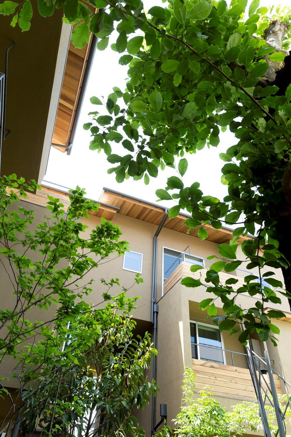 Company name : Love Architecture Inc.  Address : 2-20-14 Miyasaka Setagaya Tokyo,Japan  Phone : +81-3-5844-6830  Fax  : +81-3-5844-6831  E-mail : asari@lovearchitecture.co.jp  URL : www.lovearchitecture.co.jp   Credit InformationArchitecture : Yukio AsariPhotography : Masao Nishikawa   Project OutlineLocation : Tokyo, Japan   Date of Completion : March 2018 Principal Use : Rental apartment Structure : Wooden construction Site Area : 558.67m2 Total Floor Area :706.23m2 (255.76m2/1F, 227.99m2/2F, 222.48m2/3F)  Structural Engineer : Nakamura Tsuguho Mechanical Engineer : Hiroyuki Sakamaki  Material Information Exterior Finish (Wall) : Resin based plastering Exterior Finish (Floor) : Natural stone/Decomposed granite soil Floor : Oak flooring, Urethane clear paint/ Tile finish Wall : Cross Ceiling : Cross - Sheet7