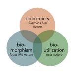 Is biomimicry essential for architects? - Sheet2