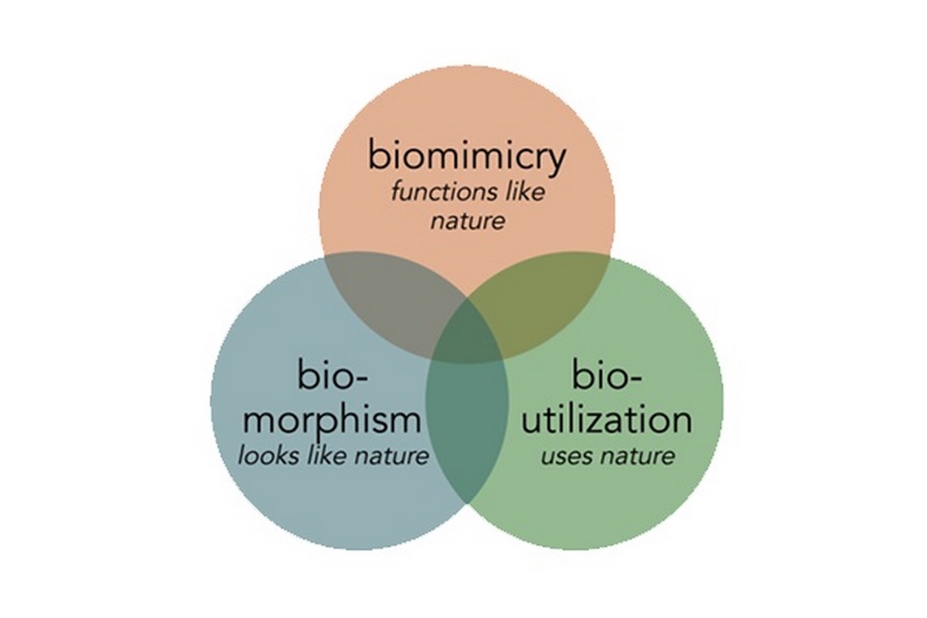 Is biomimicry essential for architects? - Sheet2